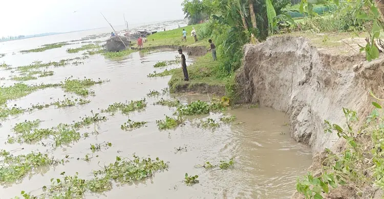 গাইবান্ধায় নদ-নদীর পানি কমছে, শুরু হয়েছে ভাঙন