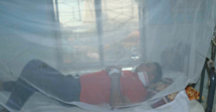 গাইবান্ধায় আরও ২২ জনের ডেঙ্গু শনাক্ত