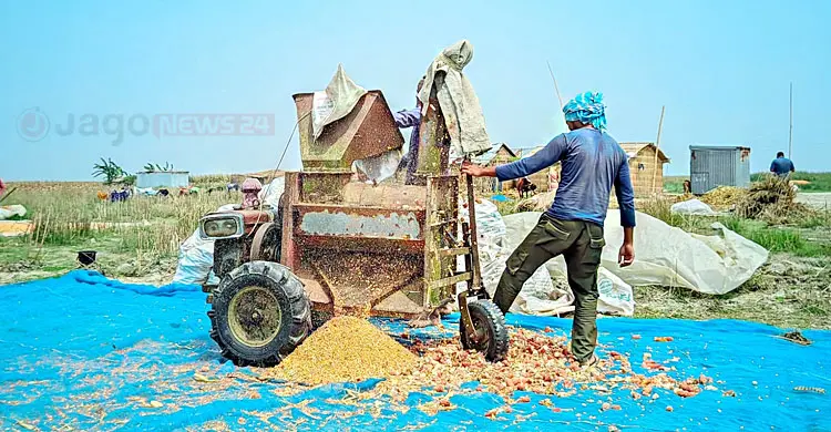 &lsquo;তেলের পেছনে ছুটবো না কি কৃষিকাজ করবো?&rsquo;