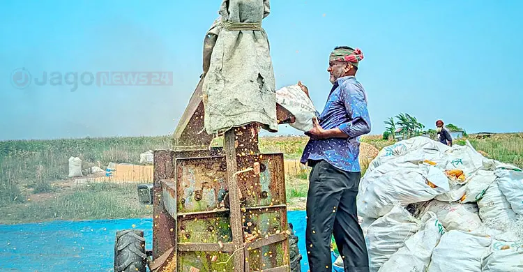 &lsquo;তেলের পেছনে ছুটবো না কি কৃষিকাজ করবো?&rsquo;