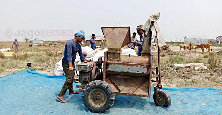&lsquo;তেলের পেছনে ছুটবো না কি কৃষিকাজ করবো?&rsquo;