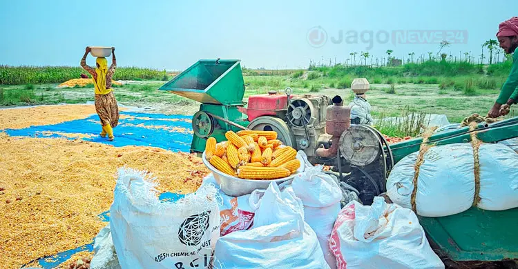 &lsquo;তেলের পেছনে ছুটবো না কি কৃষিকাজ করবো?&rsquo;