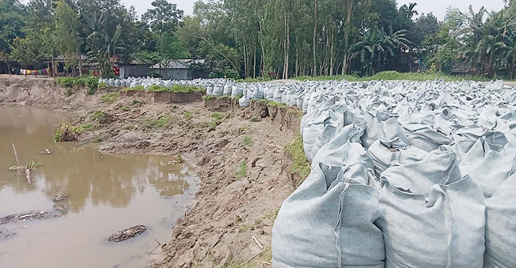 গাইবান্ধায় নদীভাঙন রক্ষা কাজে অনিয়মের অভিযোগ