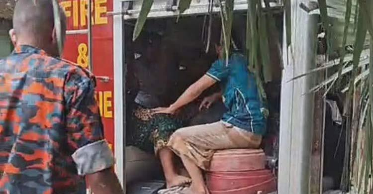 পতাকা টানাতে গিয়ে গাছেই অজ্ঞান যুবক