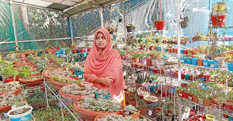 যুথির শখের ছাদবাগানে ৩০০ প্রজাতির ক্যাক্টাস ও সাকুলেন্ট