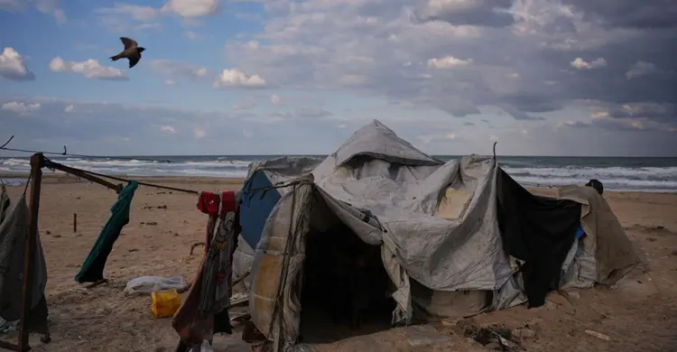 gaza
