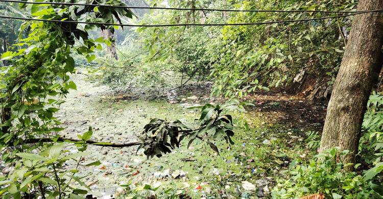 আবর্জনায় ভরা ডোবা-নালা, দুর্গন্ধ-মশায় অতিষ্ঠ পৌরবাসী