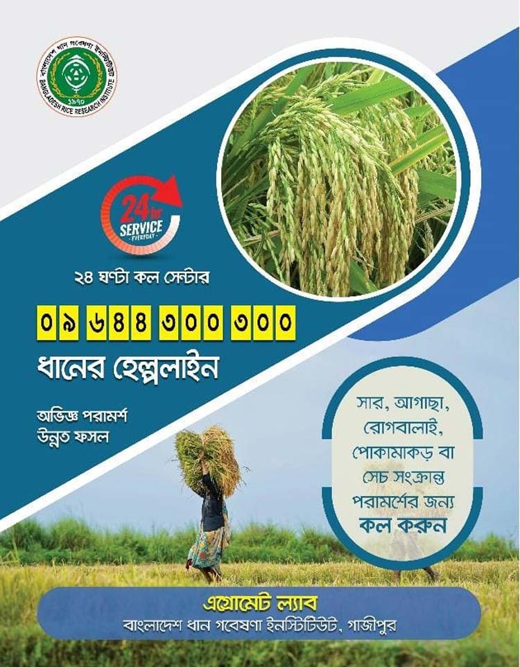 ব্রি’র কলসেন্টারে ২৪ ঘণ্টা সেবা পাবেন ধানচাষিরা