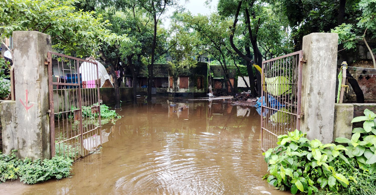 আবর্জনায় ভরা ডোবা-নালা, দুর্গন্ধ-মশায় অতিষ্ঠ পৌরবাসী