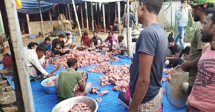 শান্তি সমাবেশে লোকদের আপ্যায়নে জাহাঙ্গীর আলমের এলাহি আয়োজন