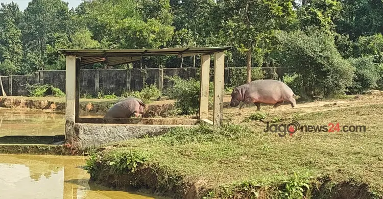 অবহেলায় ধুঁকছে গাজীপুরের সরকারি সব পর্যটন কেন্দ্র