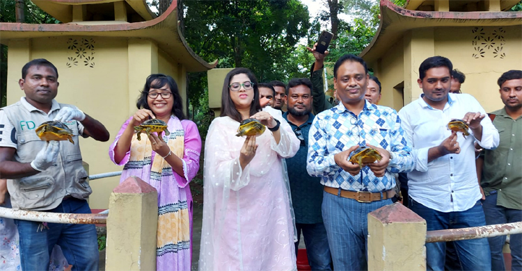 কুমিল্লা থেকে উদ্ধার করা ৪৫ কচ্ছপ গাজীপুরে অবমুক্ত