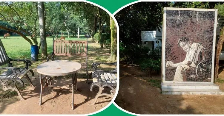 হুমায়ূন আহমেদের জন্মদিনে নুহাশপল্লীতে নানা আয়োজন