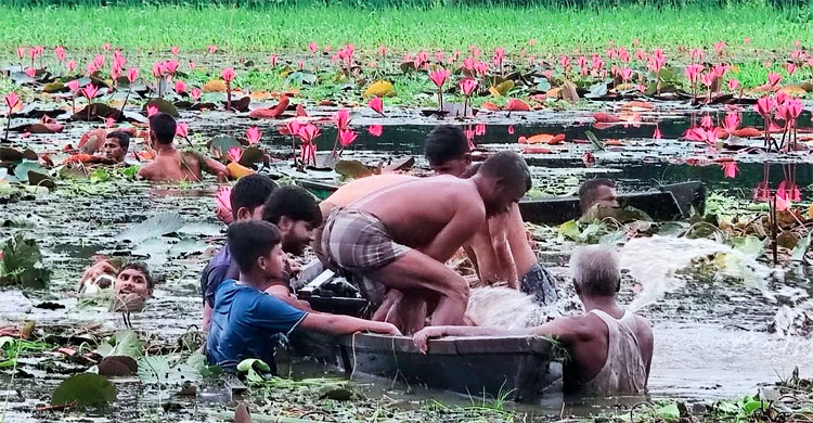 গাজীপুরে বিলে নৌকাডুবে দুই বন্ধুর মৃত্যু