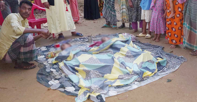 ছোটো ভাইকে বাঁচাতে গিয়ে ডুবলো বড় ভাইও