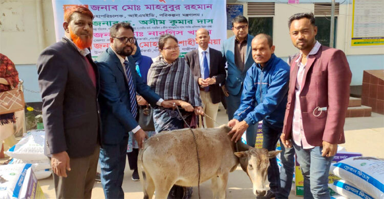 জীবন মানোন্নয়নে বাছুর পেলো গাজীপুরের ৫০ নৃ-গোষ্ঠী পরিবার