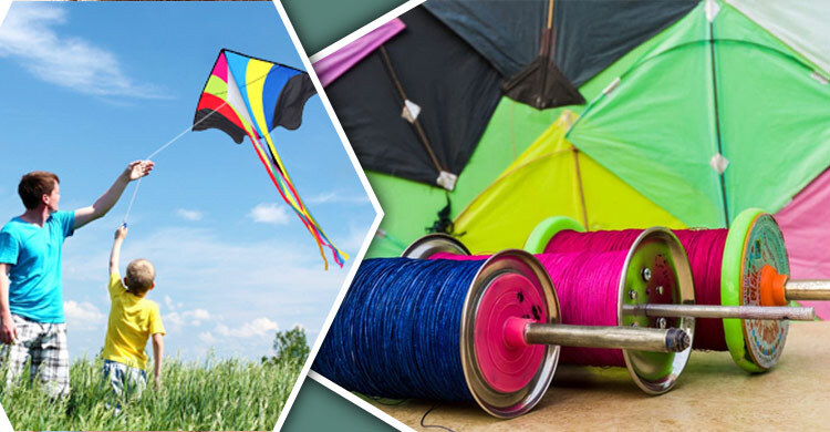 ঘুড়ি ওড়ালে জেল জরিমানা হয় যে দেশে