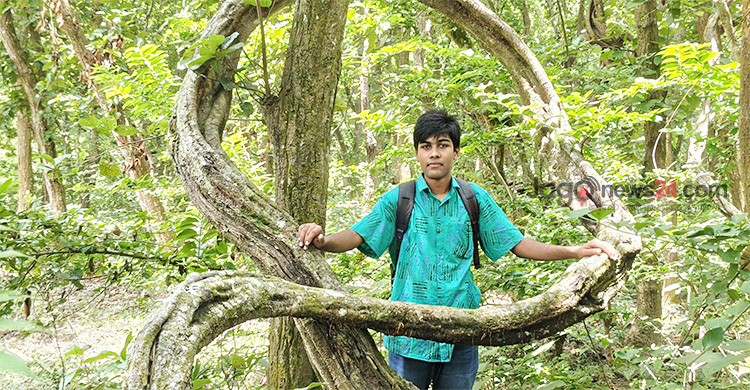 দিনাজপুরের শালবনে গিলা লতায় আটকে যায় দর্শনার্থীর চোখ