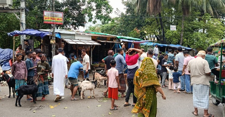 ক্রেতা সংকটে হাট ছেড়ে ছাগল নিয়ে মহল্লার ঘুরছেন ব্যাপারীরা