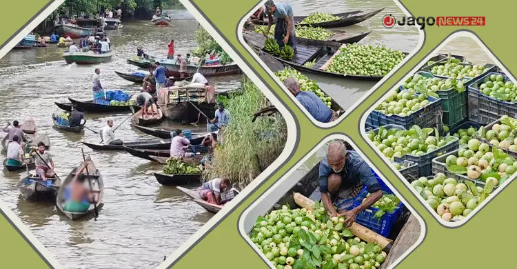 প্রতি মৌসুমে ডিঙ্গি নৌকায় ২০ কোটি টাকার পেয়ারা বিক্রি