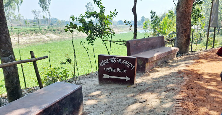 ‘আমি শুধু সোনার বারের বাহক’