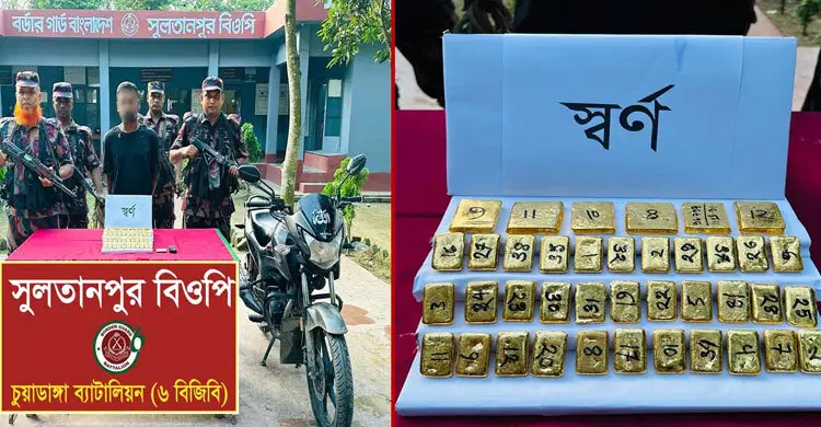 চুয়াডাঙ্গায় সাত কেজি সোনাসহ পাচারকারী আটক