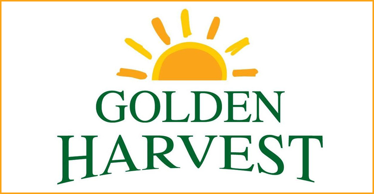 ম্যানেজার নিয়োগ দেবে গোল্ডেন হারভেস্ট, থাকছে না বয়সসীমা