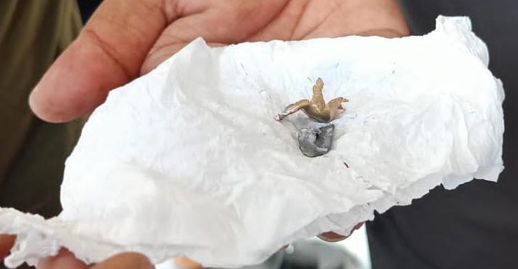 চালকল মালিক সমিতির কেন্দ্রীয় সভাপতি রশিদের বাড়িতে গুলি