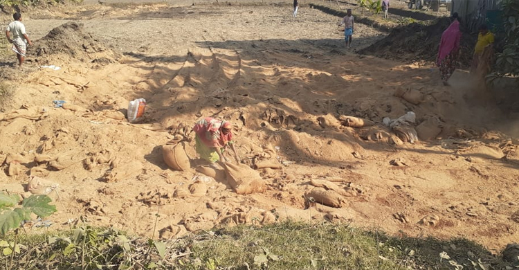 ৬ বছর পর ধ্বংস করা হলো ১৯০ টন গম