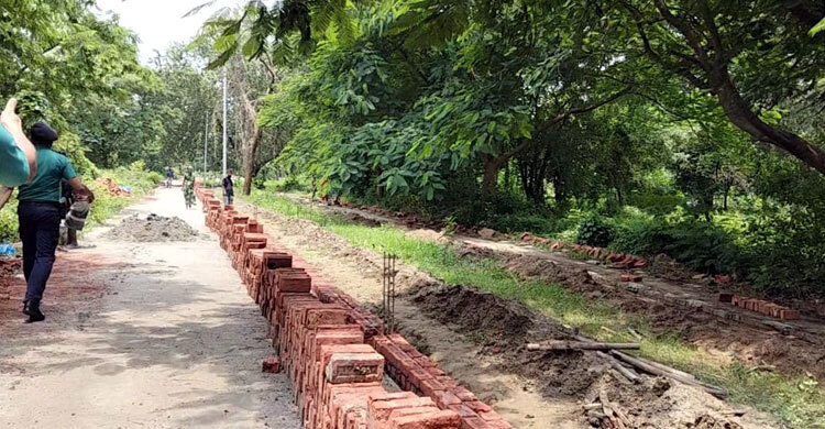 গণকবর থেকে আজ তোলা হচ্ছে না শহীদদের মরদেহ