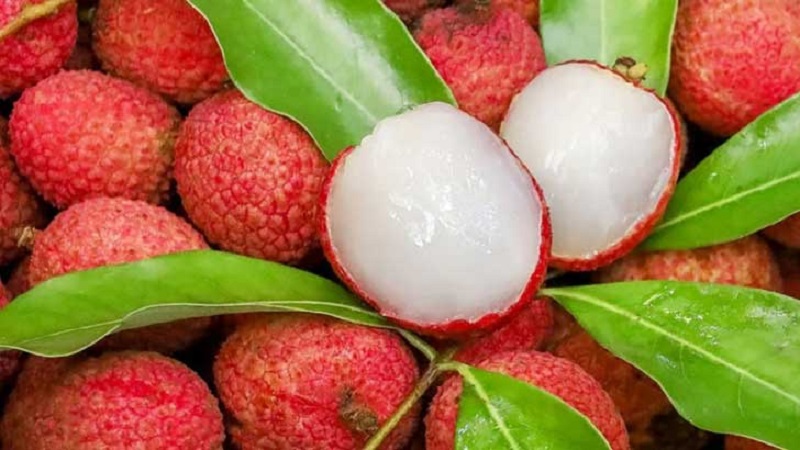 লিচু কেনার আগে জেনে নিন জরুরি টিপস