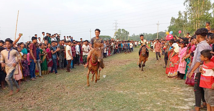 গোপালগঞ্জে হয়ে গেলো ঐতিহ্যবাহী ঘোড়দৌড় প্রতিযোগিতা