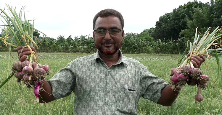 গরমকালের পেঁয়াজ চাষে ৫ কোটি টাকা আয়ের আশা