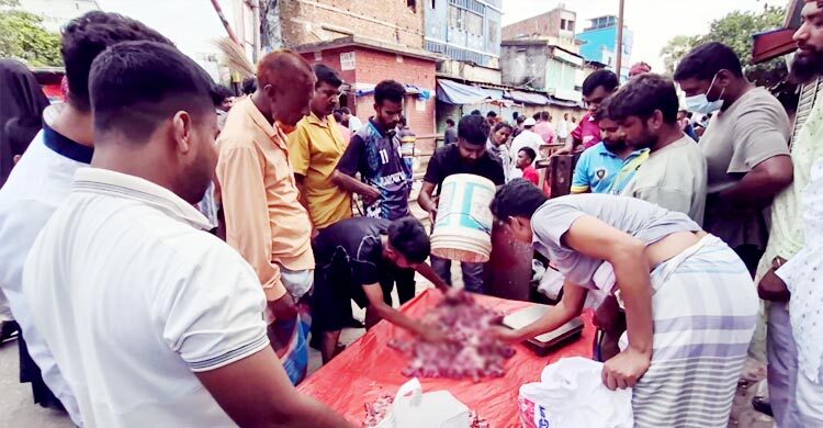 বগুড়ায় কোরবানির মাংসের কেজি ৮০০