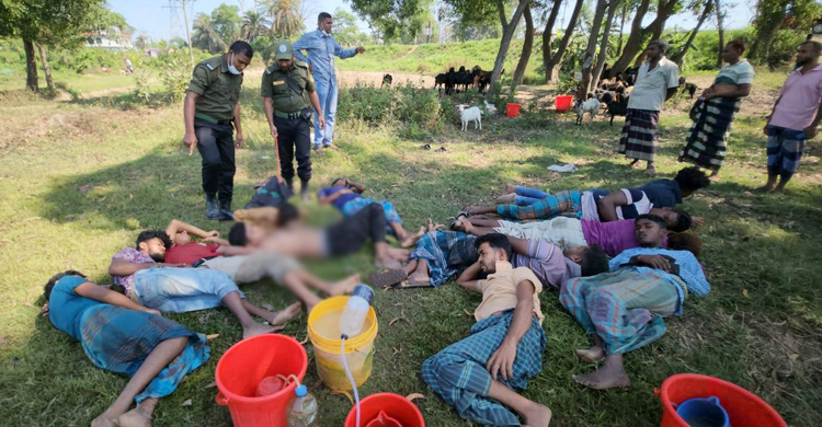 নল দিয়ে ছাগলের পেটে পানি ঢুকিয়ে ওজন বৃদ্ধি, ৯ জনের কারাদণ্ড