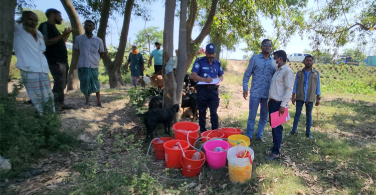 নল দিয়ে ছাগলের পেটে পানি ঢুকিয়ে ওজন বৃদ্ধি, ৯ জনের কারাদণ্ড