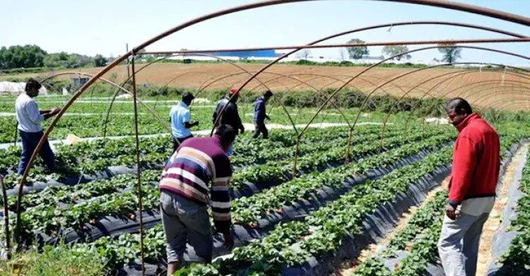 আশ্রয়প্রার্থীদের সামাজিক সুবিধা কমাচ্ছে গ্রিস