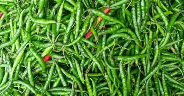 Green chilli price comes down to Tk 200 per KG in Khulna