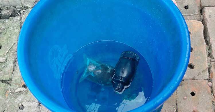 খেলতে গিয়ে পুলিশের লুট হওয়া ২ গ্রেনেড পেলো শিশুরা