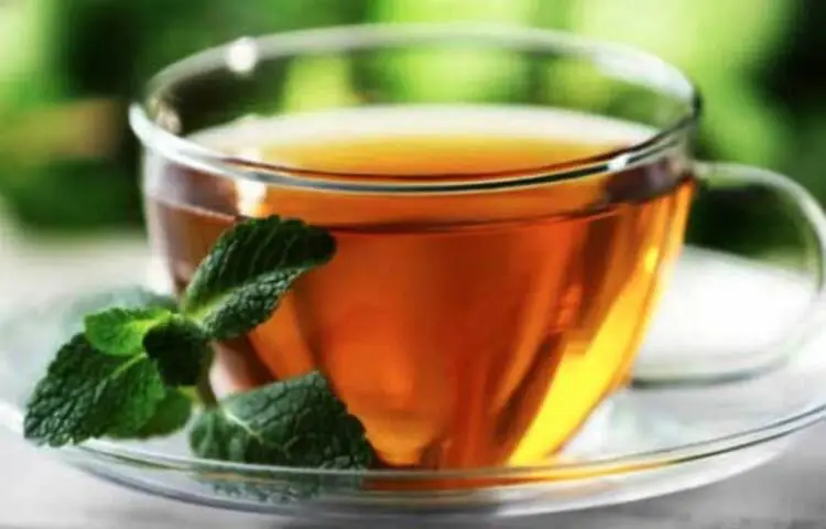 শীতে শরীর গরম রাখে যেসব খাবার