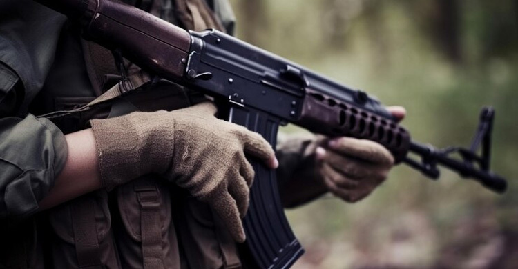 নাইজেরিয়ায় সশস্ত্র গোষ্ঠীর হামলায় অন্তত ৬০ জন নিহত