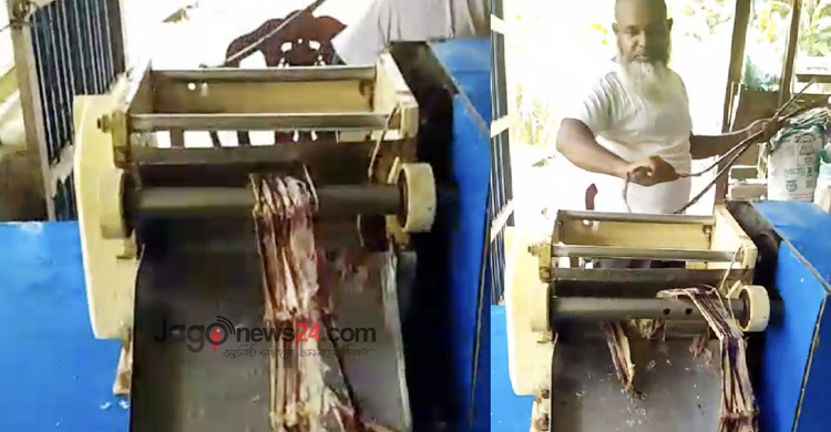 ঘাস থেকে গুড় তৈরি করে স্বাবলম্বী খাদিজা বেগম