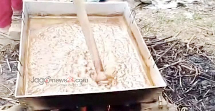 ঘাস থেকে গুড় তৈরি করে স্বাবলম্বী খাদিজা বেগম