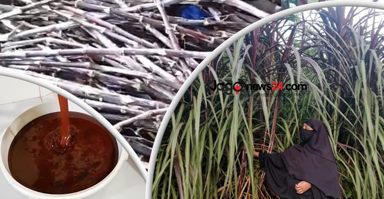 ঘাস থেকে গুড় তৈরি করে স্বাবলম্বী খাদিজা বেগম