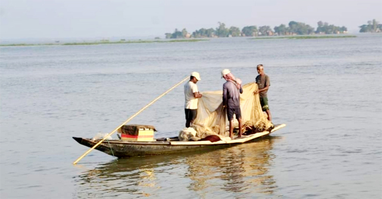 হাওরে পানির অভাবে নেই ঈদের আমেজ
