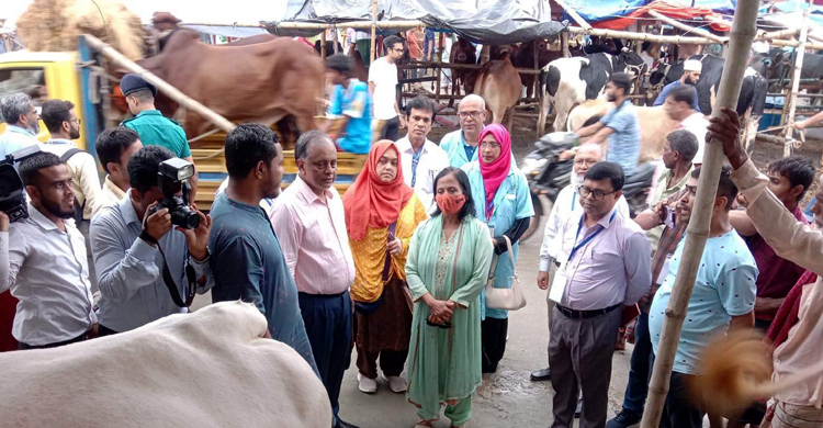 রাজধানীতে কোরবানির পশুর হাট পরিদর্শনে প্রাণিসম্পদ সচিব