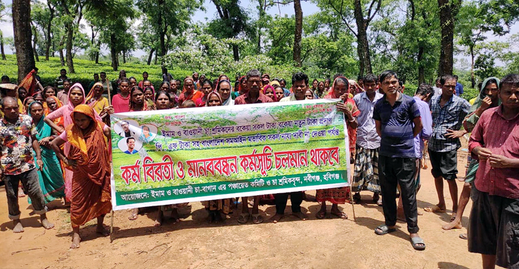 ৭ দফা দাবিতে হবিগঞ্জে চা শ্রমিকদের কর্মবিরতি