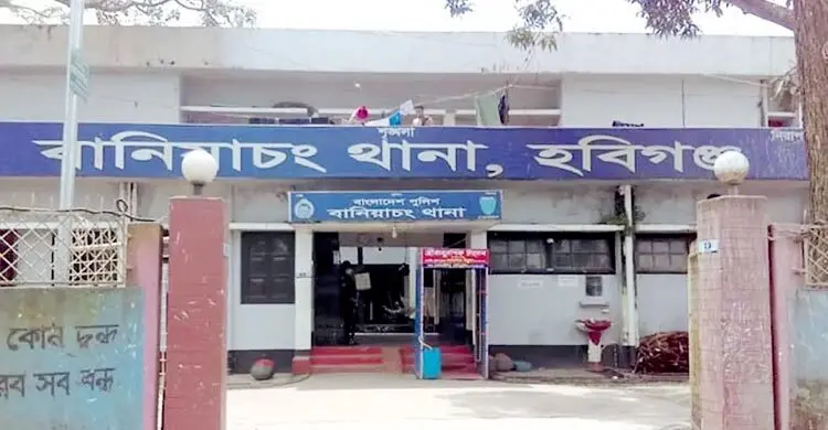 বানিয়াচংয়ে পুকুরে ডুবে ভাই-বোনের মৃত্যু