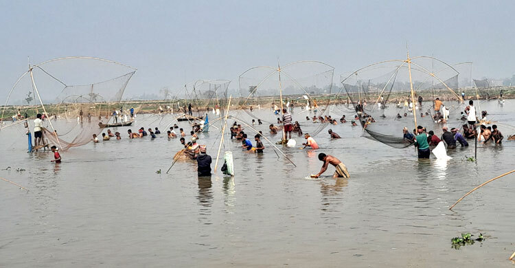 হবিগঞ্জে ঐতিহ্যবাহী ‘পলো বাওয়া’ উৎসব