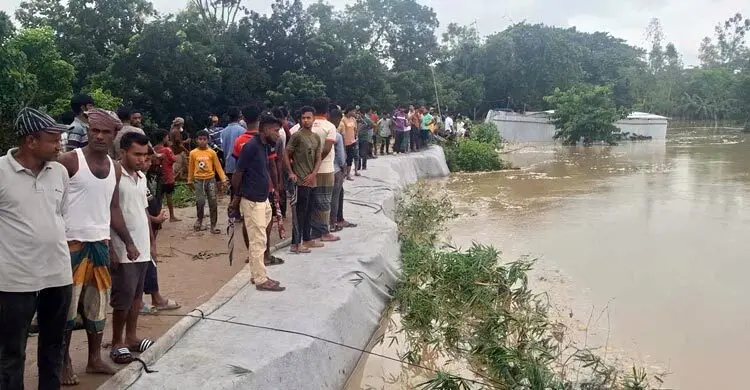 টানা বৃষ্টি ও উজানের ঢলে বাড়ছে পানি, প্লাবিত হতে পারে নিম্নাঞ্চল